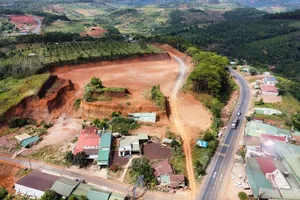 Phạt 2 người bạt đồi bán đất trái phép ở Đắk Nông