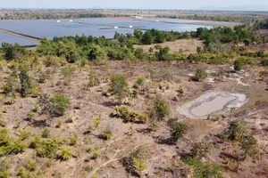 Đắk Lắk cho 5 doanh nghiệp thuê hơn 2.200 ha rừng