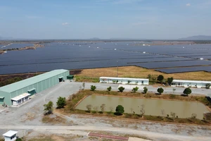 Đắk Lắk: Thu hồi 13,2 ha đất của dự án điện mặt trời Xuân Thiện