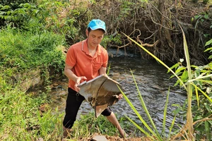 Đắk Lắk: Công trình tưới tiêu 72 tỉ đồng lại vỡ đường ống lần thứ 15