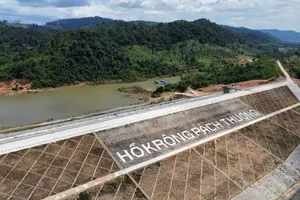 Suy giảm 244 ha rừng tại dự án hồ thủy lợi nghìn tỉ ở Đắk Lắk 