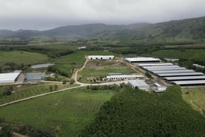 Chưa thể hồi thu hồi 55 tỉ đồng ngân sách ứng cho doanh nghiệp làm dự án