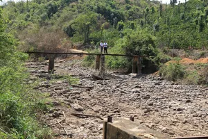 Đắk Nông kiến nghị Trung ương hỗ trợ 377 tỉ đồng khắc phục hậu quả do hạn hán