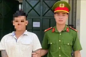 Lợi dụng bán hàng, thu hộ tiền rồi chiếm đoạt 700 triệu đồng của 3 công ty