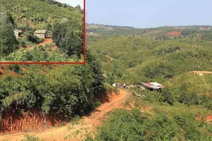 Chủ tịch tỉnh Đắk Nông chỉ đạo thu hồi 54 ha đất cấp sai cho cựu giám đốc sở và em trai