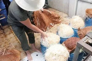 Phát hiện cơ sở sản xuất giá đỗ bằng hóa chất cung ứng cho một siêu thị