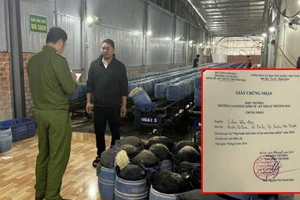 Vụ làm giá đỗ bằng chất cấm: Địa phương kiểm tra nhưng không phát hiện