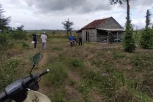 Đắk Lắk: 129 hộ dân tự nguyện trả hơn 600 ha đất lấn chiếm ở dự án cải tạo rừng 