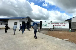 Xử phạt 320 triệu đồng 1 trang trại nuôi heo công nghệ cao không có giấy phép môi trường