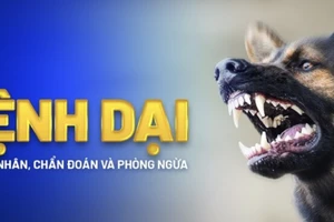 Người đàn ông làm nghề buôn bán chó tử vong do bệnh dại