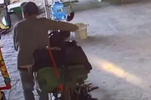 Chó chết vì bệnh dại, chủ nhà ráo riết tìm người bị hại