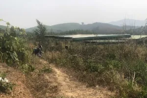 Nam thanh niên tử vong trong tư thế treo cổ, 2 chân quỳ xuống đất