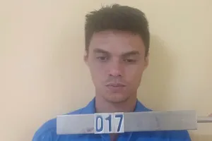 Đánh phó giám đốc công ty lâm nghiệp gãy xương sườn, 2 lâm tặc bị bắt