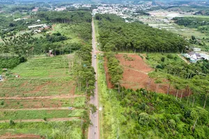 Đắk Nông: Chấp thuận chủ trương dự án nuôi bò sữa quy mô 50.000 con 