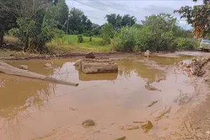 Vụ dân đẩy cây, đá hộc chắn xe thi công cao tốc: Xã yêu cầu khắc phục đường hỏng