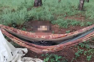 Lâm Đồng: Tổ chức ăn gà nướng phát hiện bộ xương người ở đồi thông