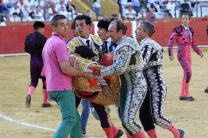 Bàng hoàng chứng kiến cảnh đấu sĩ bị bò tót tấn công đến chết