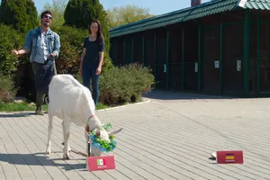 Xem một số 'nhà tiên tri' đúng và sai