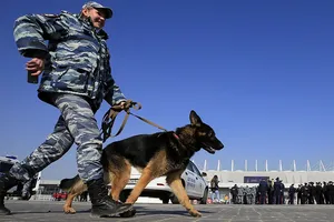 Rostov bị 'dọa' nổ bom hàng loạt mùa World Cup