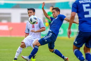 Bình luận: 'Nho Nhật' còn xanh lắm