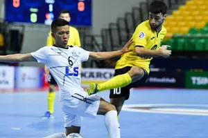 Đầu đã xuôi cho Thái Sơn Nam