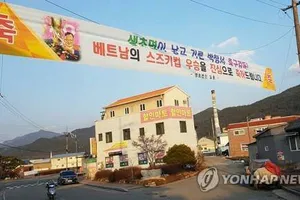 Quê thầy Park ở Hàn Quốc được tân trang thành ‘làng Việt Nam’