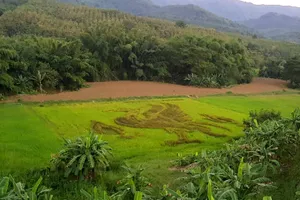 Tình yêu bất tận với Liverpool của fan Thái Lan