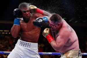 Tiếp xúc với thái tử Charles, tay đấm Joshua tự cách ly