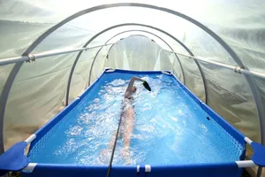 Muôn kiểu tập luyện tại gia trong dịch COVID-19