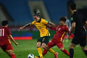 Ông Arnold bắt bài được ông Park