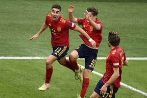 'Gà trống' có đá văng 'bò tót'?