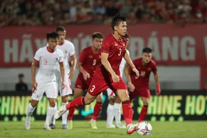 Thôi thì cứ chờ tiếp HLV Troussier