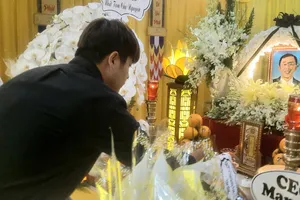 Dương Minh Ninh và thời thi đấu đỉnh cao