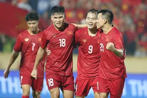 Phạm Tuấn Hải có thay thế được Đình Bắc?