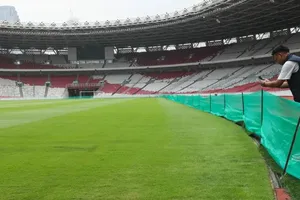 Sợ chuột tấn công, sân Bung Karno giăng lưới