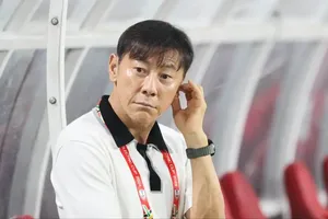 HLV Shin Tae-yong là nạn nhân trong chuyện nội bộ của bóng đá Indonesia