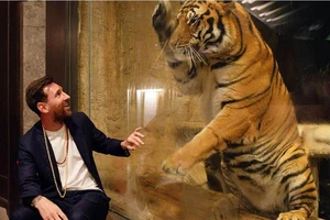 Messi đến thăm, “hổ xanh” lại... ảo tưởng 