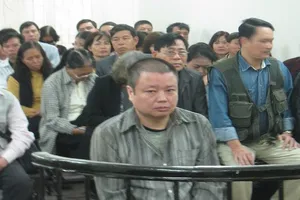 Hàng chục hecta đất vụ giám đốc sàn bất động sản lừa đảo giờ ra sao? 