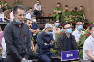 Vụ chuyến bay giải cứu: Cựu giám đốc hối hận vì đẩy vợ vào tù