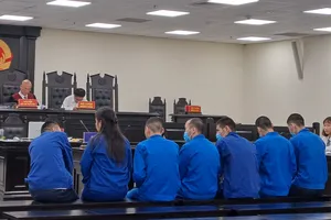 Băng nhóm nước ngoài vào Việt Nam trộm cắp của khách du lịch lĩnh án