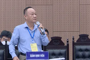 Vụ cao tốc Đà Nẵng-Quảng Ngãi: Giám định viên nói 'dự án lấy chỗ nào cũng bất thường'