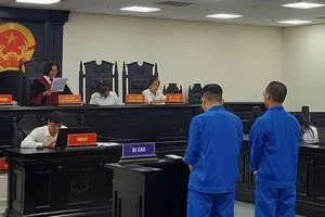 Liên quan 'siêu lừa' Nguyễn Khắc Đồi, luật sư tiếp tục kêu oan