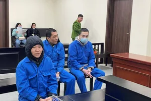 Đường dây mua bán trẻ em núp bóng việc nhận con nuôi