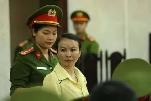 Mở lại phiên tòa vụ án mẹ nữ sinh giao gà ở Điện Biên