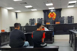 Tham ô tài sản doanh nghiệp, 2 cựu nhân viên giao hàng lãnh án