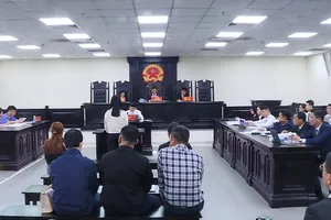 Vụ Vimedimex: Luật sư đề nghị xem xét trách nhiệm các sở, ngành liên quan