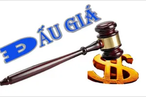 Nữ giám đốc 'vẽ' tài sản đấu giá chiếm đoạt gần 100 tỉ đồng kháng cáo