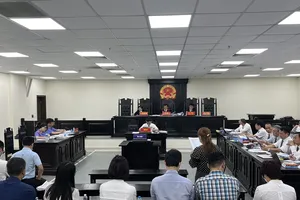 Ủy ban Trung ương Mặt trận Tổ quốc Việt Nam giám sát vụ án cựu Chủ tịch Vimedimex Nguyễn Thị Loan