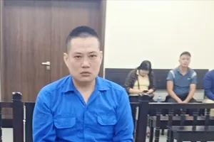 Dùng sổ hồng giả, lừa bán bất động sản chiếm đoạt hơn 11 tỉ đồng