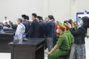 Bà Nguyễn Thị Thanh Nhàn đã 'chen ngang' vào 6 dự án đấu thầu ở Bắc Ninh